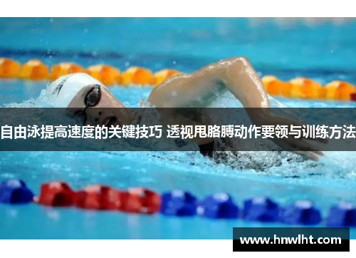 自由泳提高速度的关键技巧 透视甩胳膊动作要领与训练方法