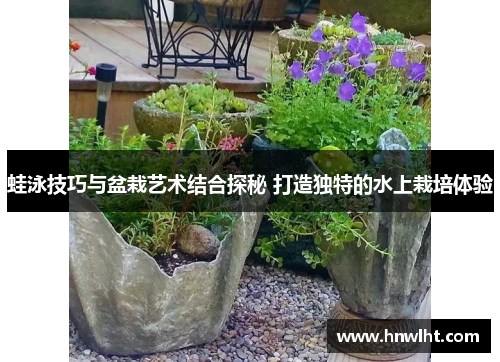 蛙泳技巧与盆栽艺术结合探秘 打造独特的水上栽培体验